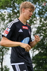 IMG 7067