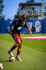 IMG 8491