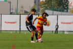 IMG 6579