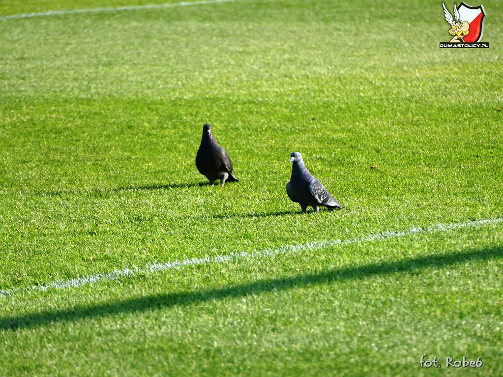 (07) Polonia - Motor Lublin  (04.06.2023)